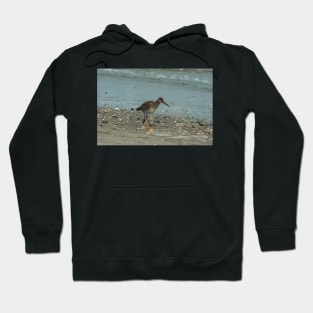 Wilson's snipe Hoodie